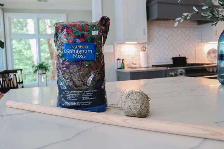 How To Make An Easy Moss Pole For Your Indoor Climbing Plants