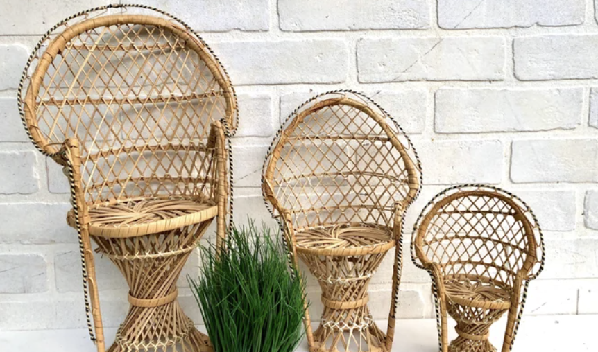 2022 Gift Guide: The Best Gifts for The Plant Lovers and Plant Obsessed!