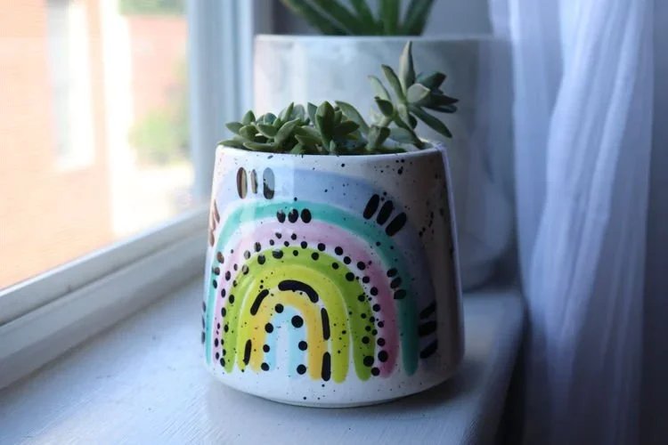 3 Houseplant Styling Tips For Any Space!