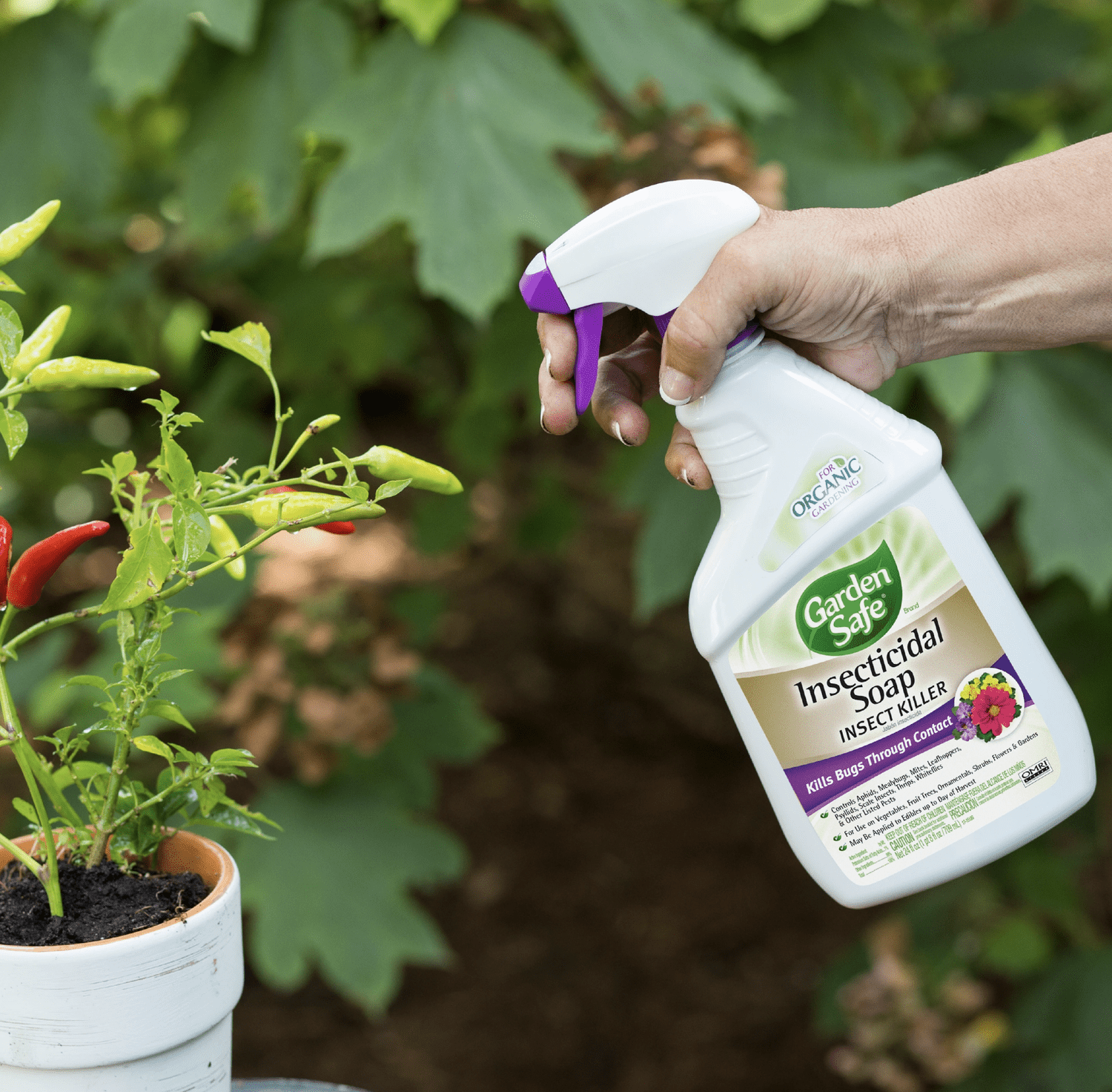 Integrated Pest Management: A Sustainable Approach to Plant Pest Control