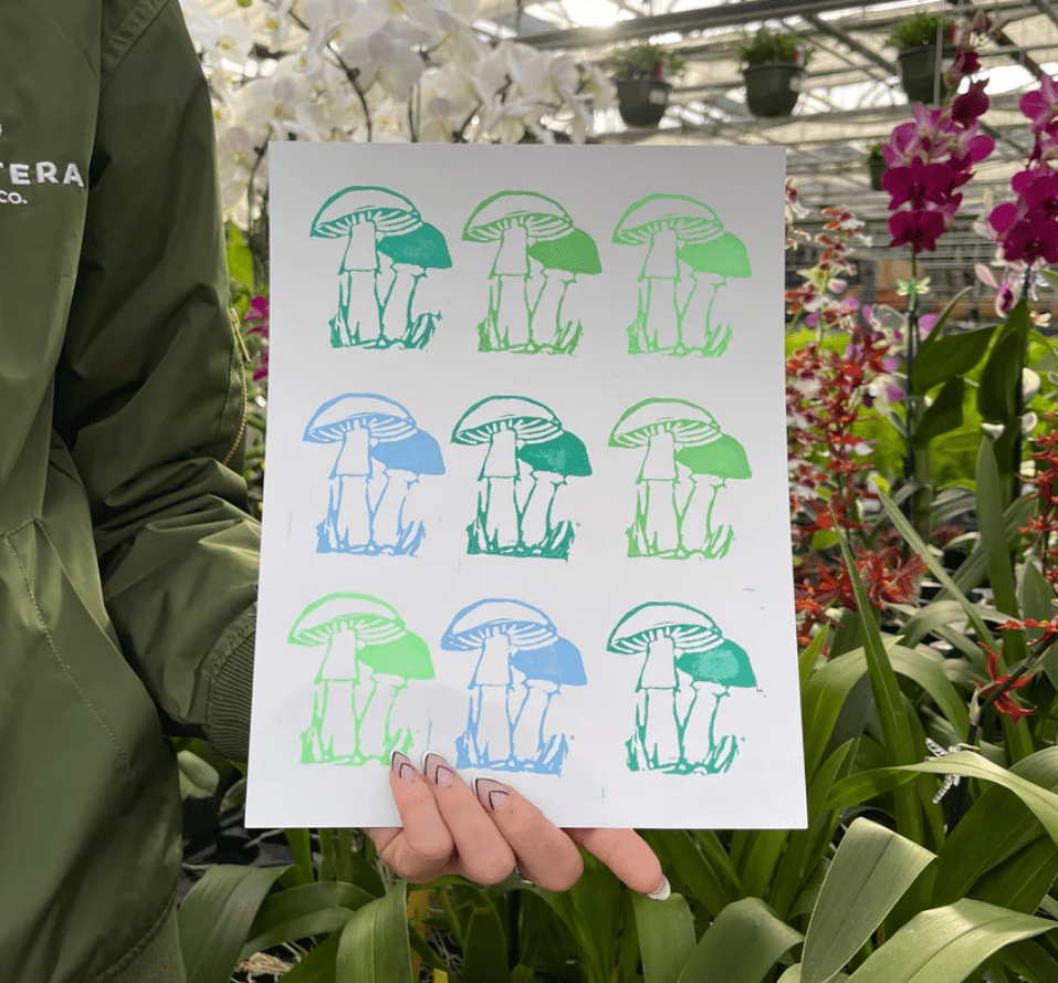 The Best Gift Ideas for Plant Lovers and Gardeners for 2022
