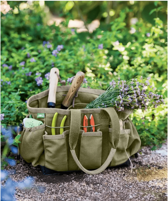 The Best Gift Ideas for Plant Lovers and Gardeners for 2022