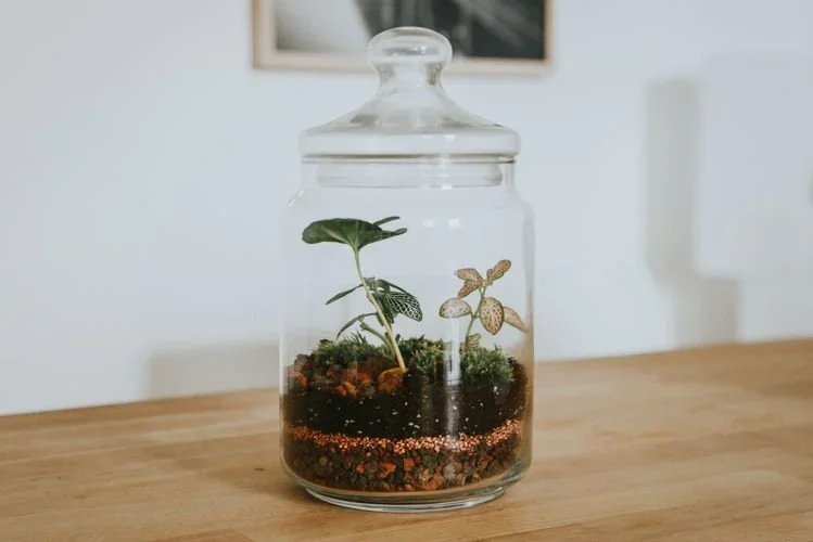 The Plant Trends To Look Out For In 2022