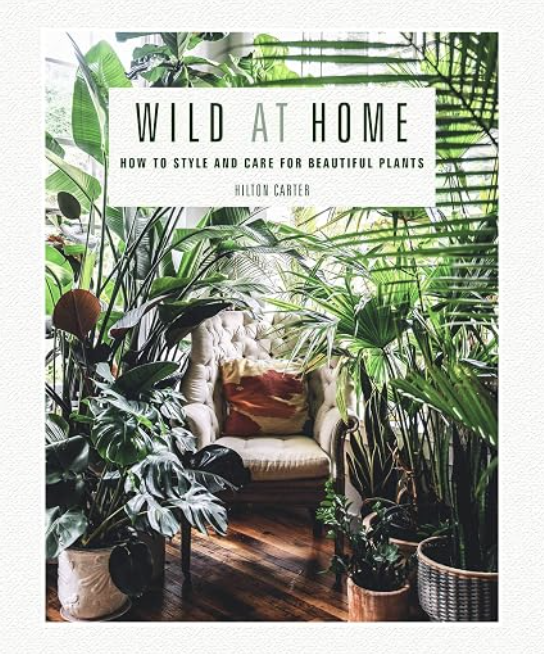 2022 Gift Guide: The Best Gifts for The Plant Lovers and Plant Obsessed!