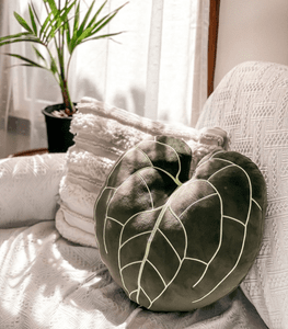 Small Businesses To Support: Houseplant Edition