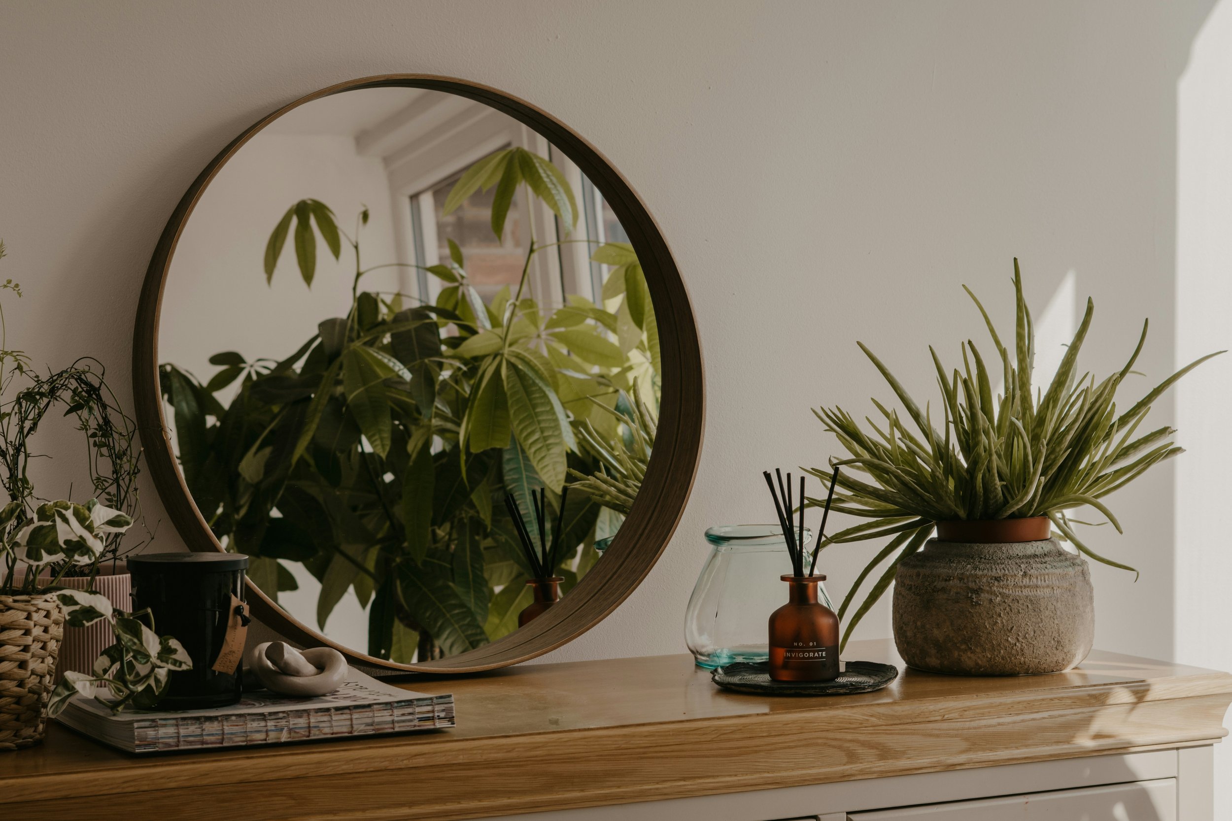 5 Benefits of Indoor Plant Care for Mental Health