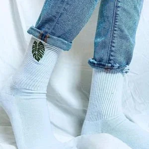 Small Businesses To Support: Houseplant Edition
