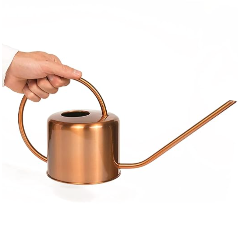 2022 Gift Guide: The Best Gifts for The Plant Lovers and Plant Obsessed!