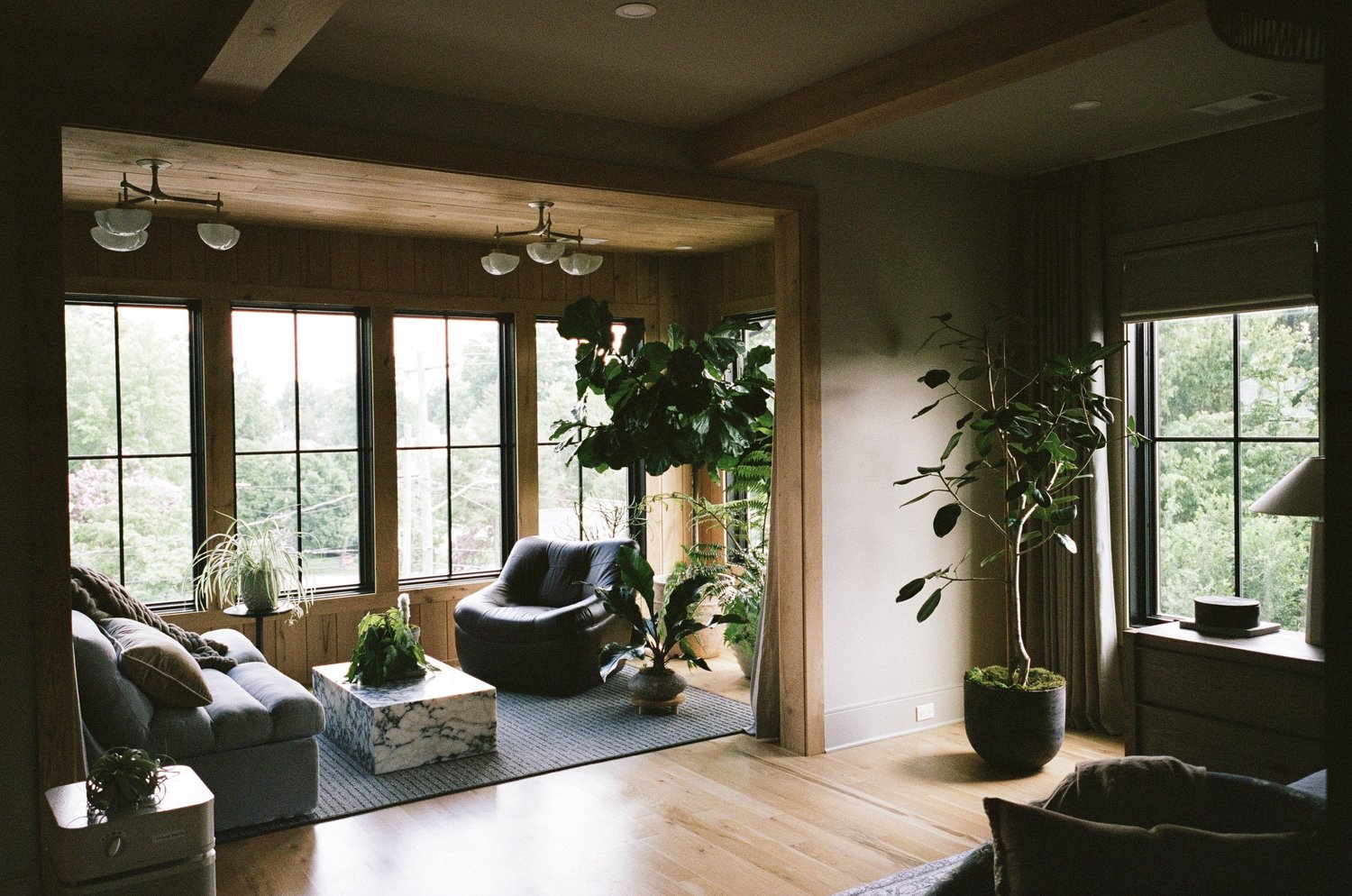 It’s Not Just Plants: Interiorscaping is Game Changing