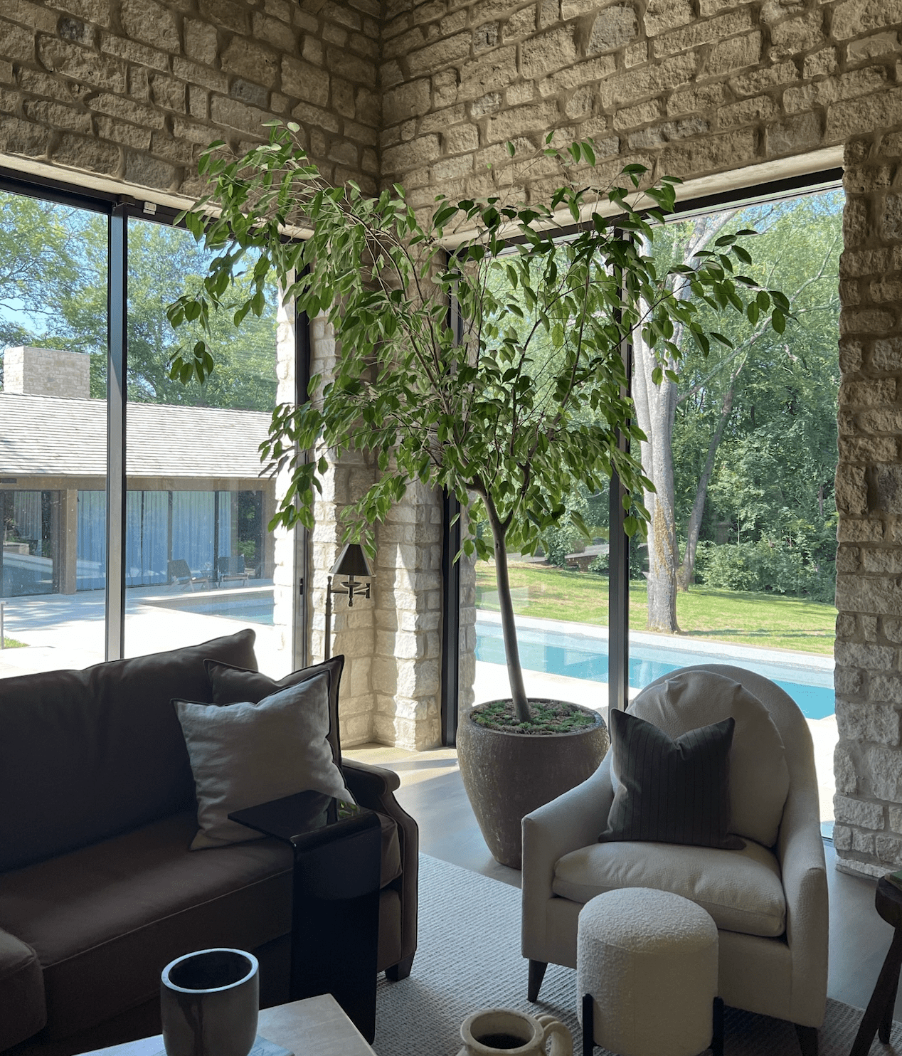 All About Indoor Trees
