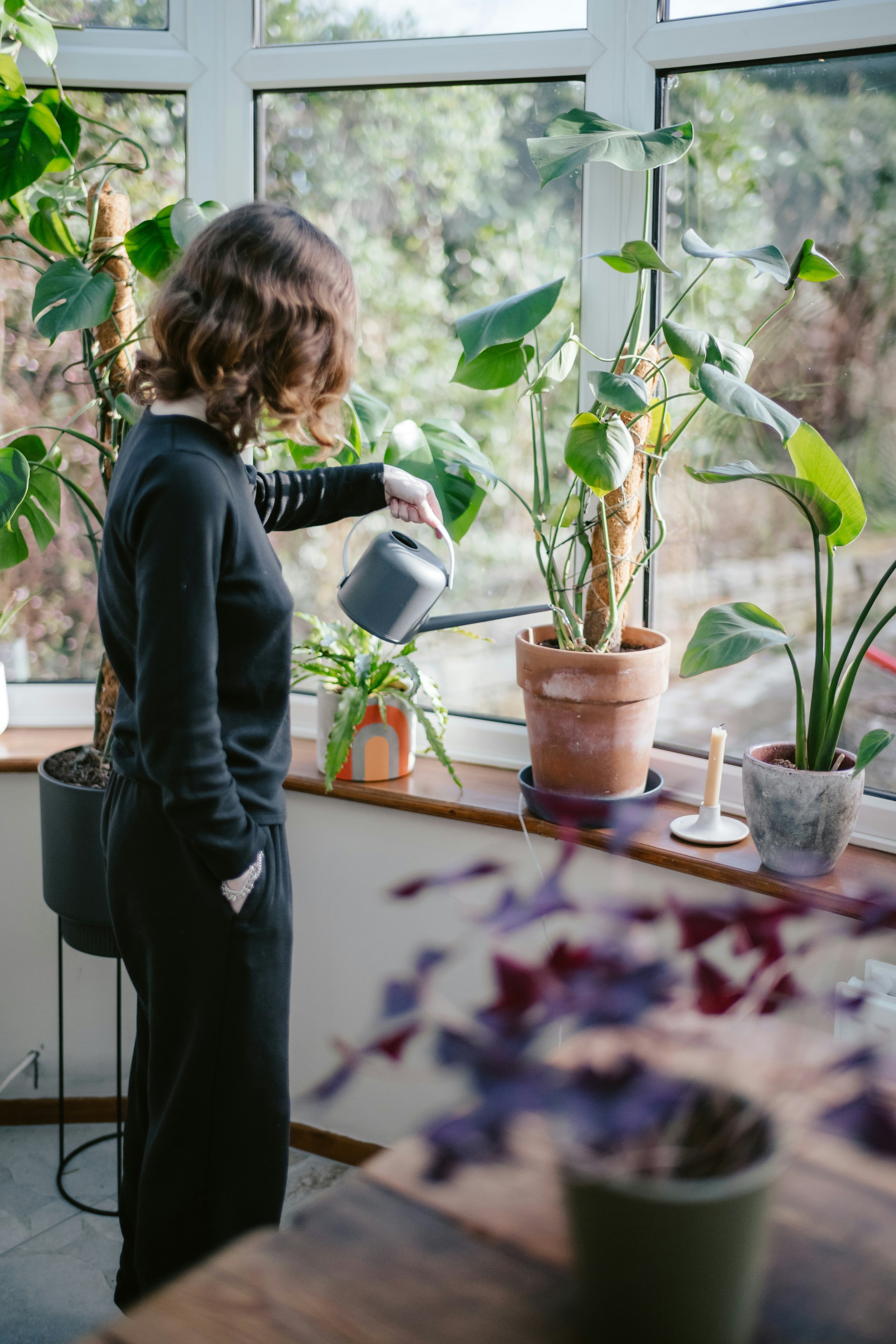 How To Stop Overwatering Your Plants
