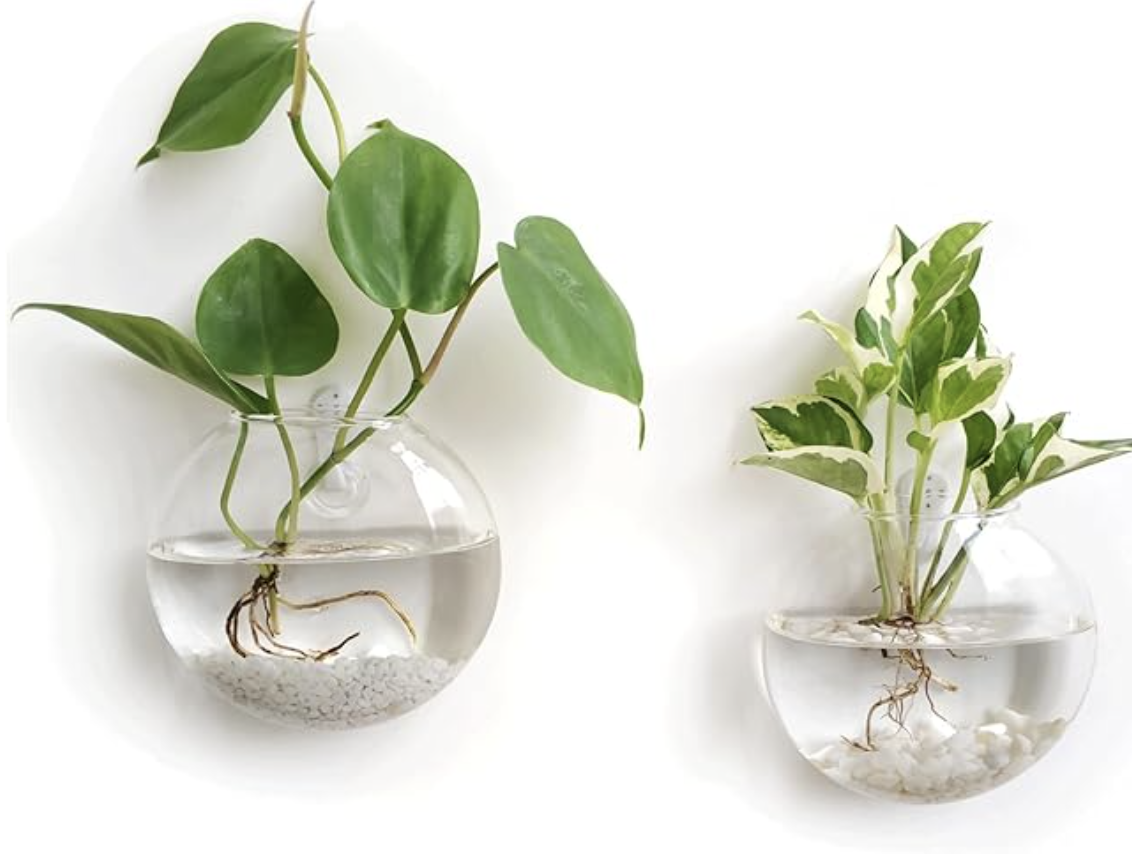 2022 Gift Guide: The Best Gifts for The Plant Lovers and Plant Obsessed!