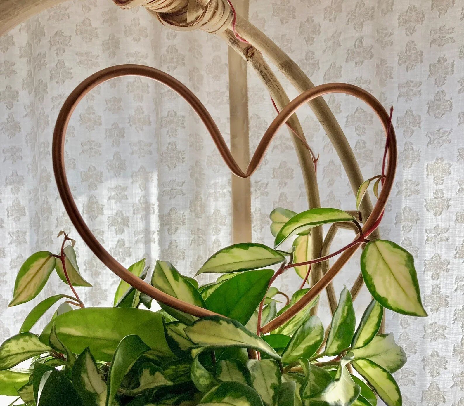 The Best Gift Ideas for Plant Lovers and Gardeners for 2022