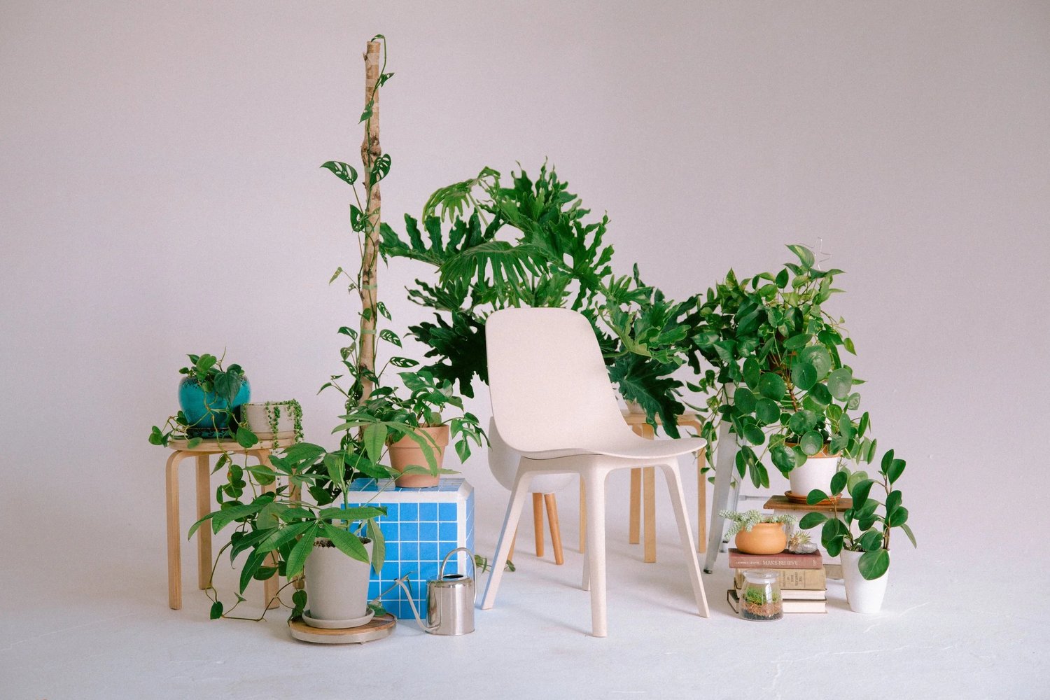 The Philosophy of Interior Design and Plantscaping