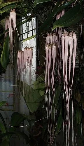 2024 Interiorscaping Trends