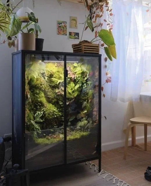 2024 Interiorscaping Trends