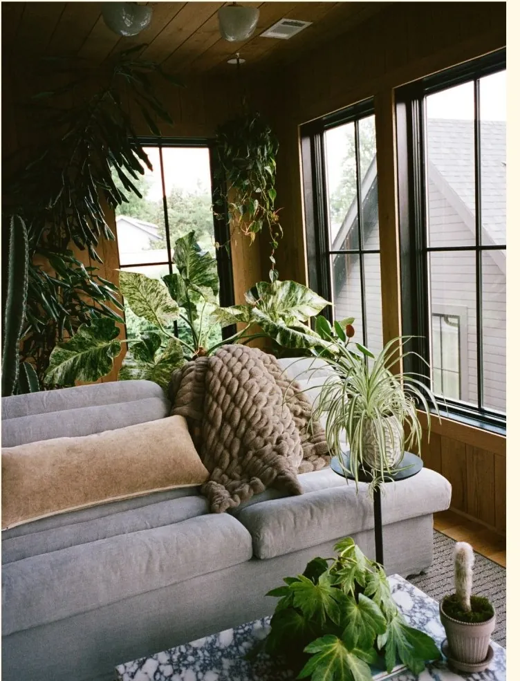 Sunroom filled with layered houseplants around a linen sofa