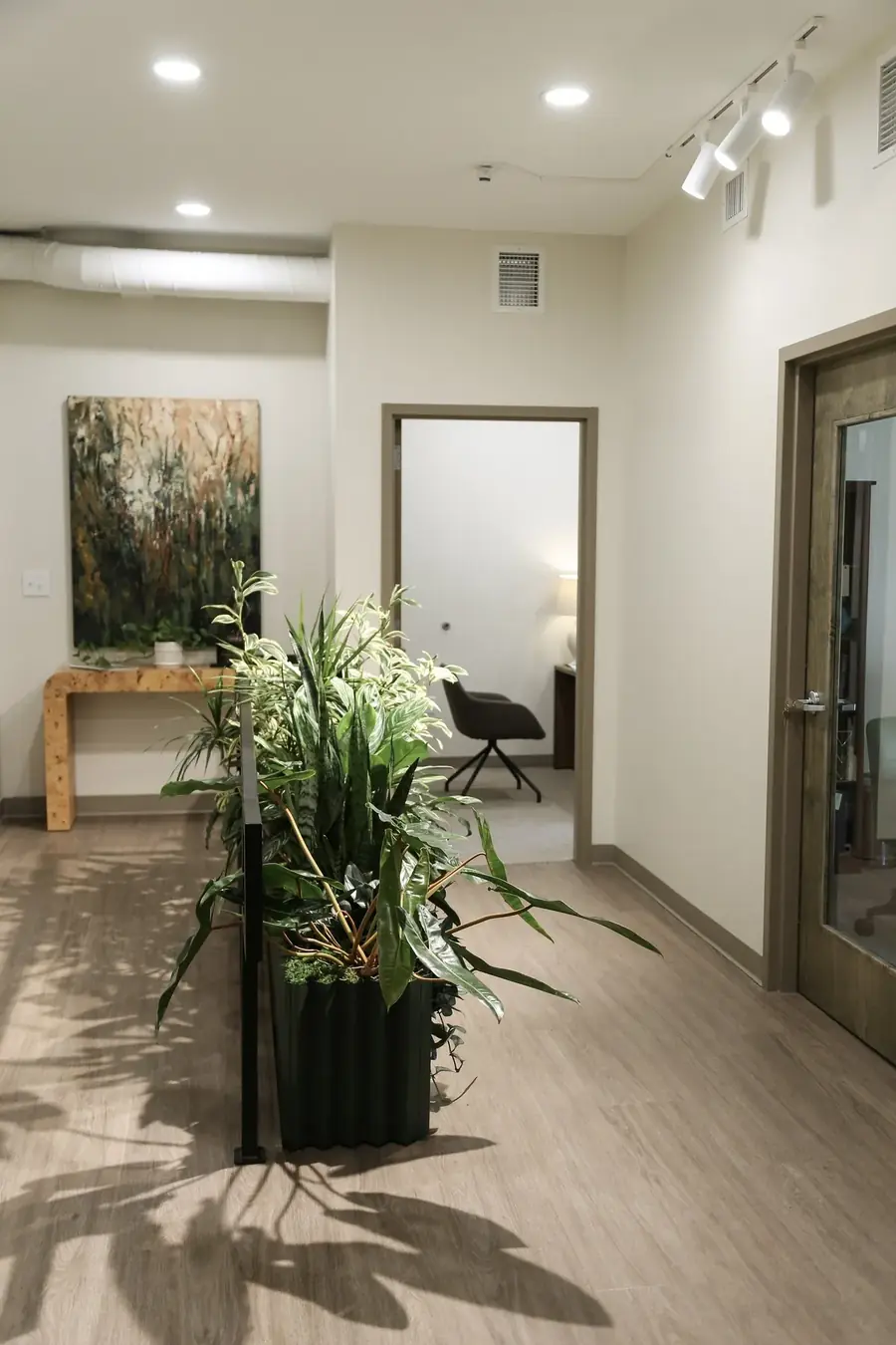 HMC Law Firm Grow light and Planter Box Installation, Plant Savvy
