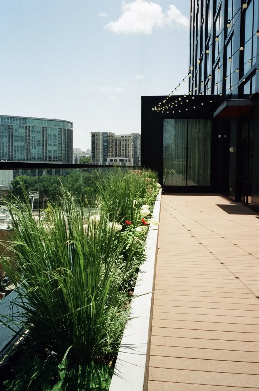 Plant Savvy, Downtown Hotel, Nashville, TN