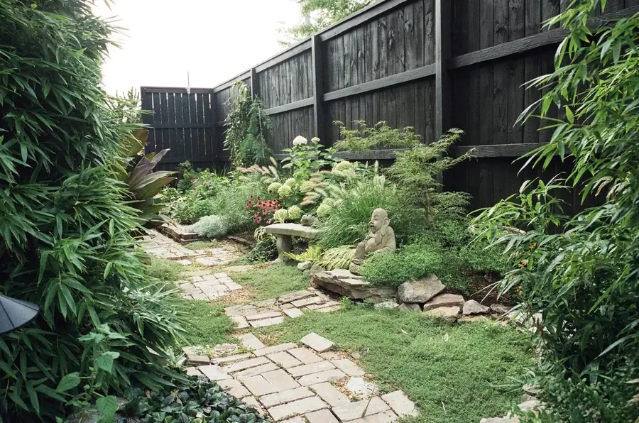 Exterior Landscape Design, 5 Points Hotel, Plant Savvy