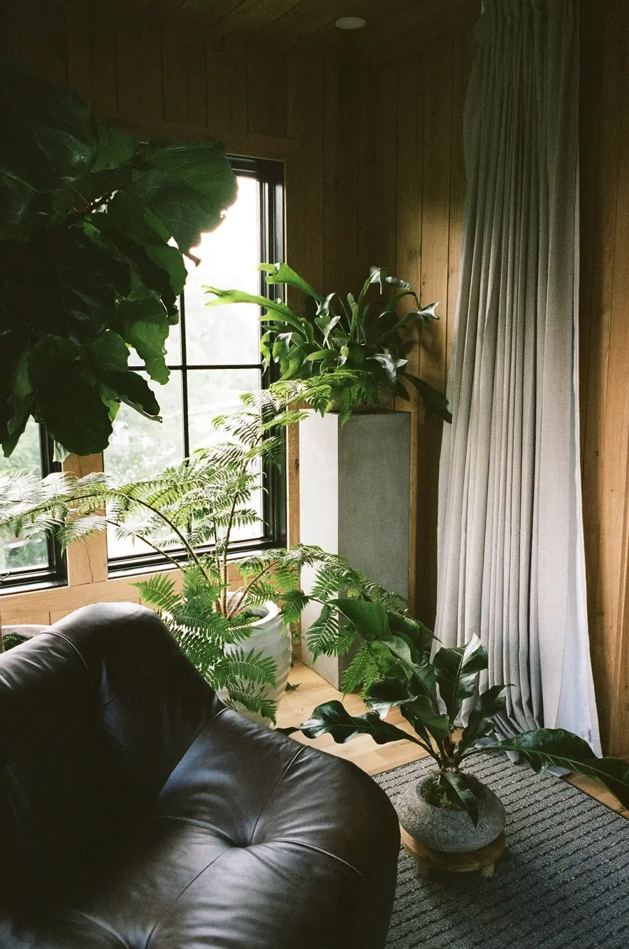 Plant Savvy, Heathers, Nashville, TN