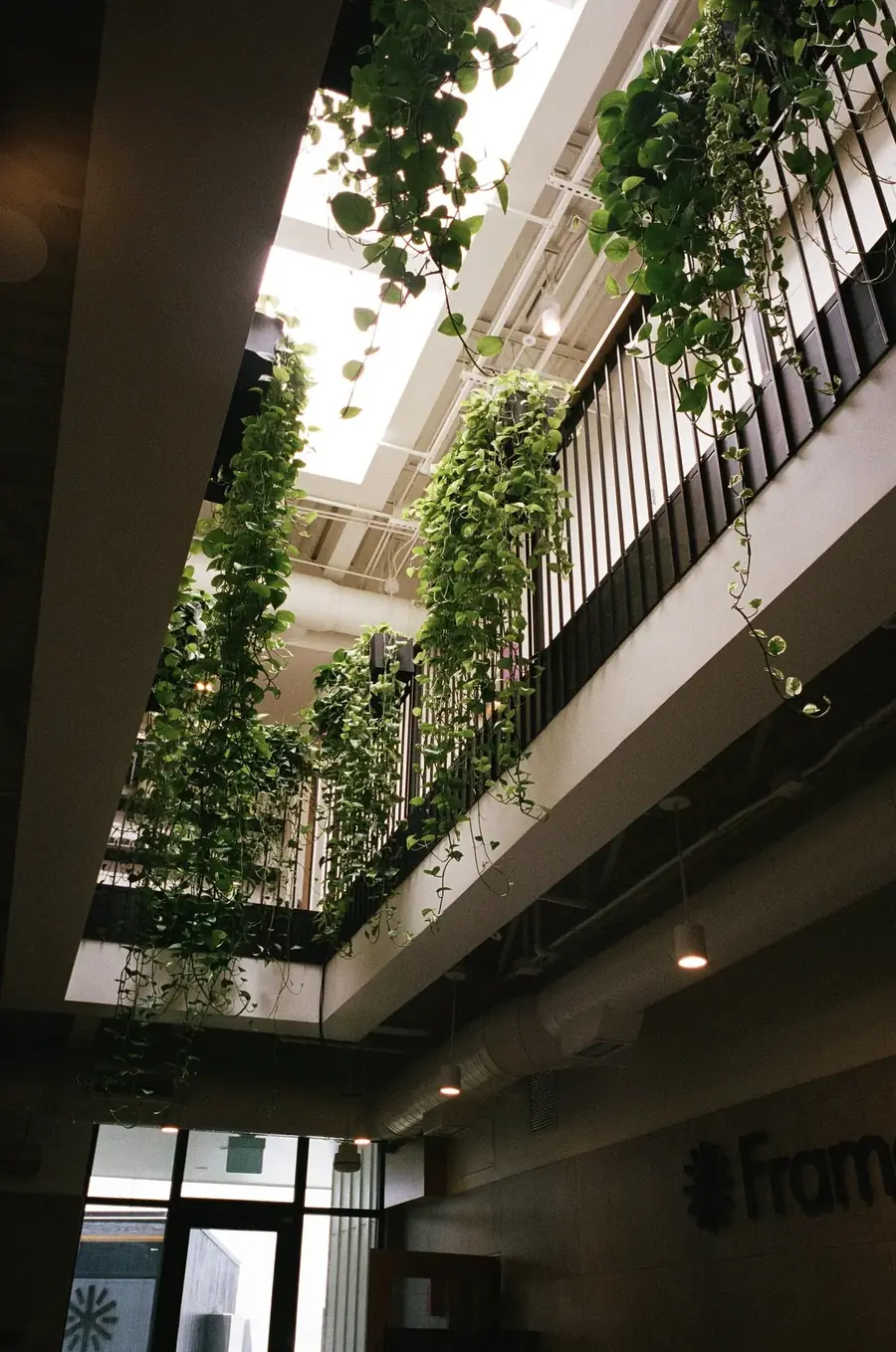 Plant Savvy, Framework, Nashville, TN