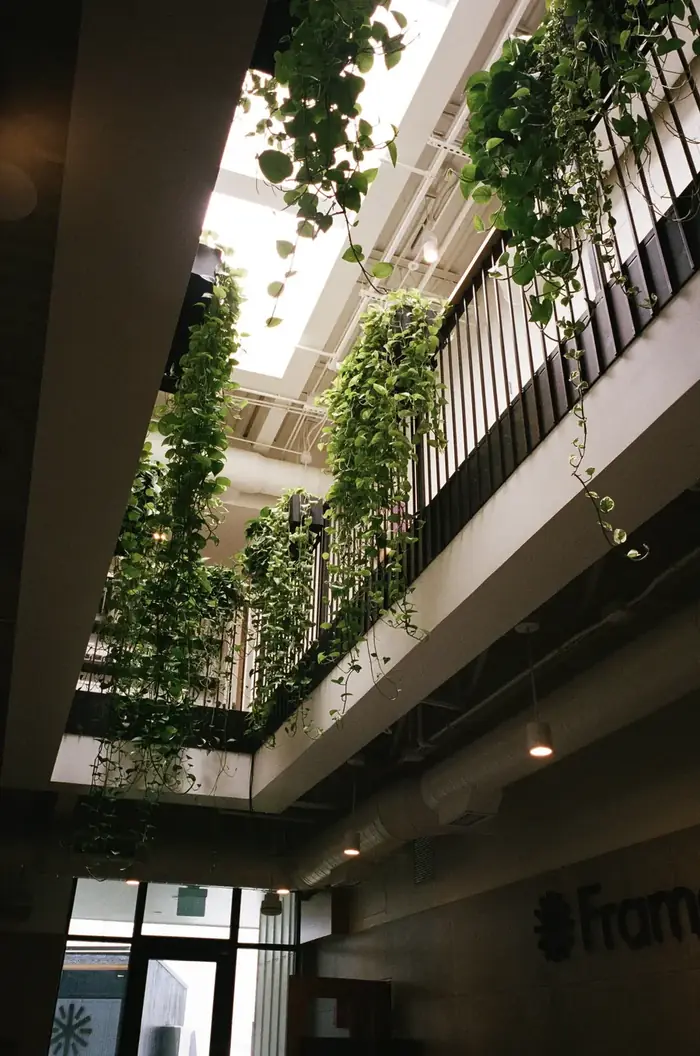 Plant installation at Framework sauna studio