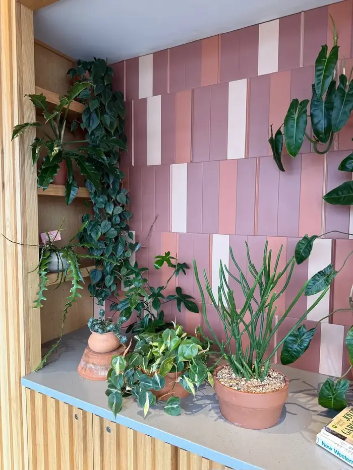 Plants against a pink tiled wall at Ladybird Taco
