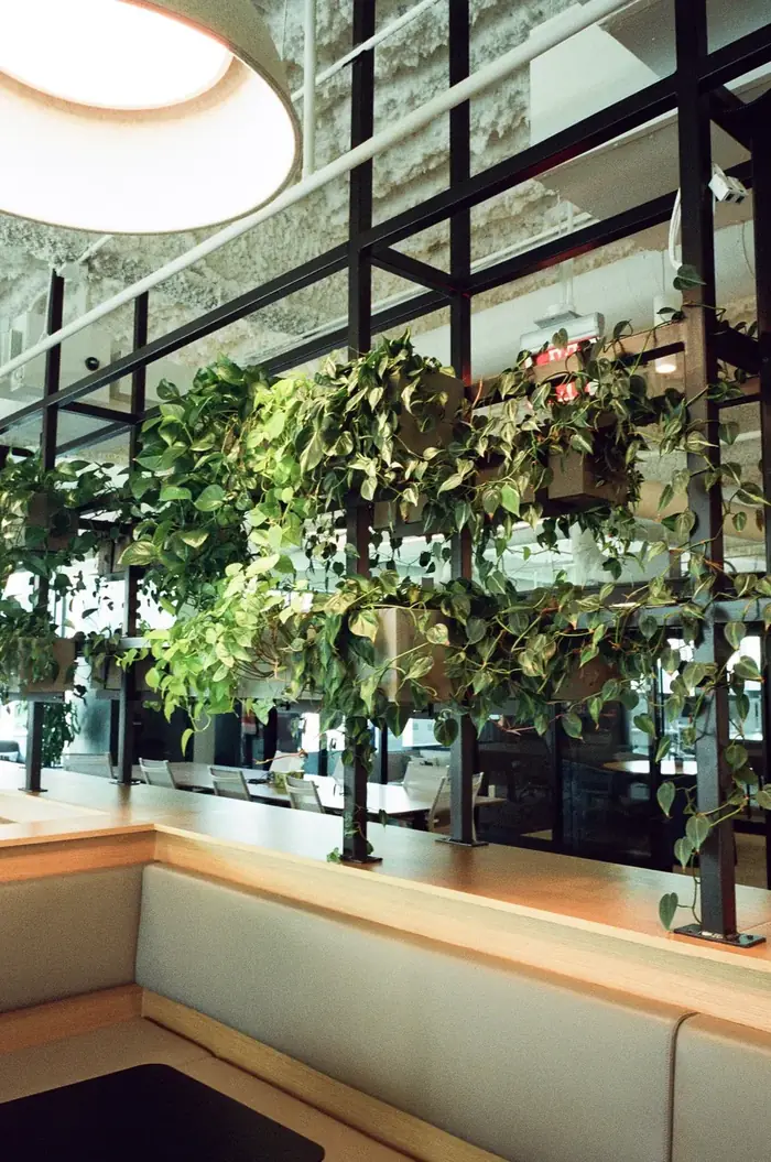 Interior plantscaping at Metropolis HQ