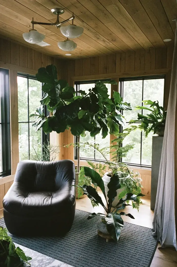 Interior garden retreat in Sylvan Park