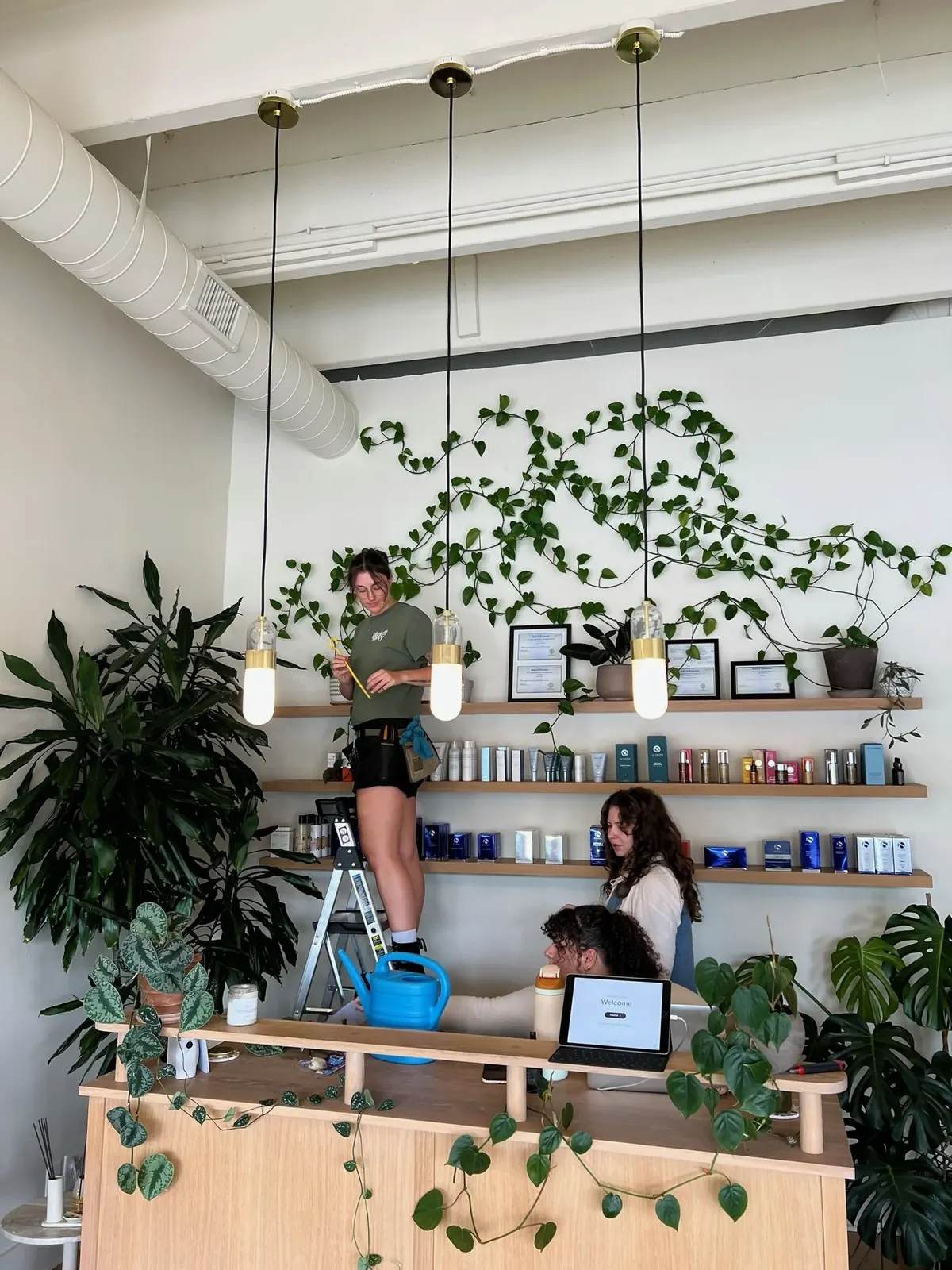 A team member on a ladder tending to a large indoor plant installation