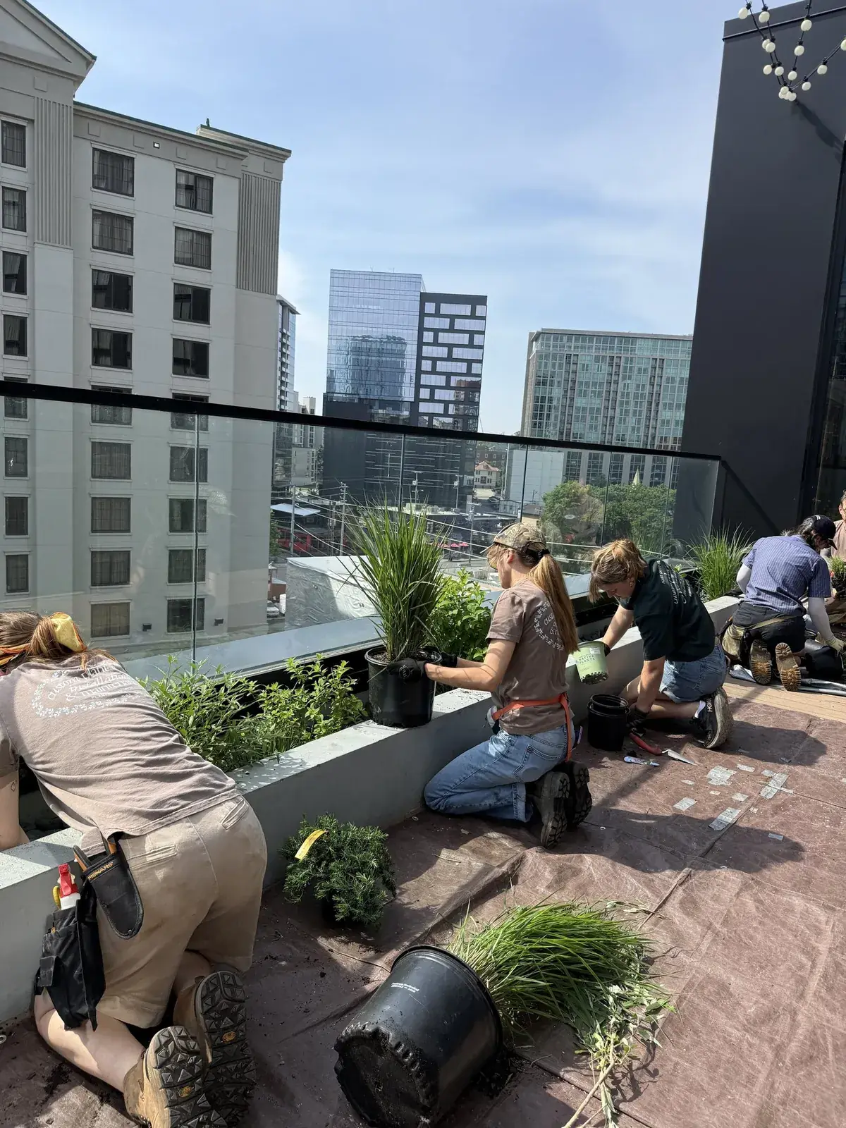 Team members working on a rooftop garden