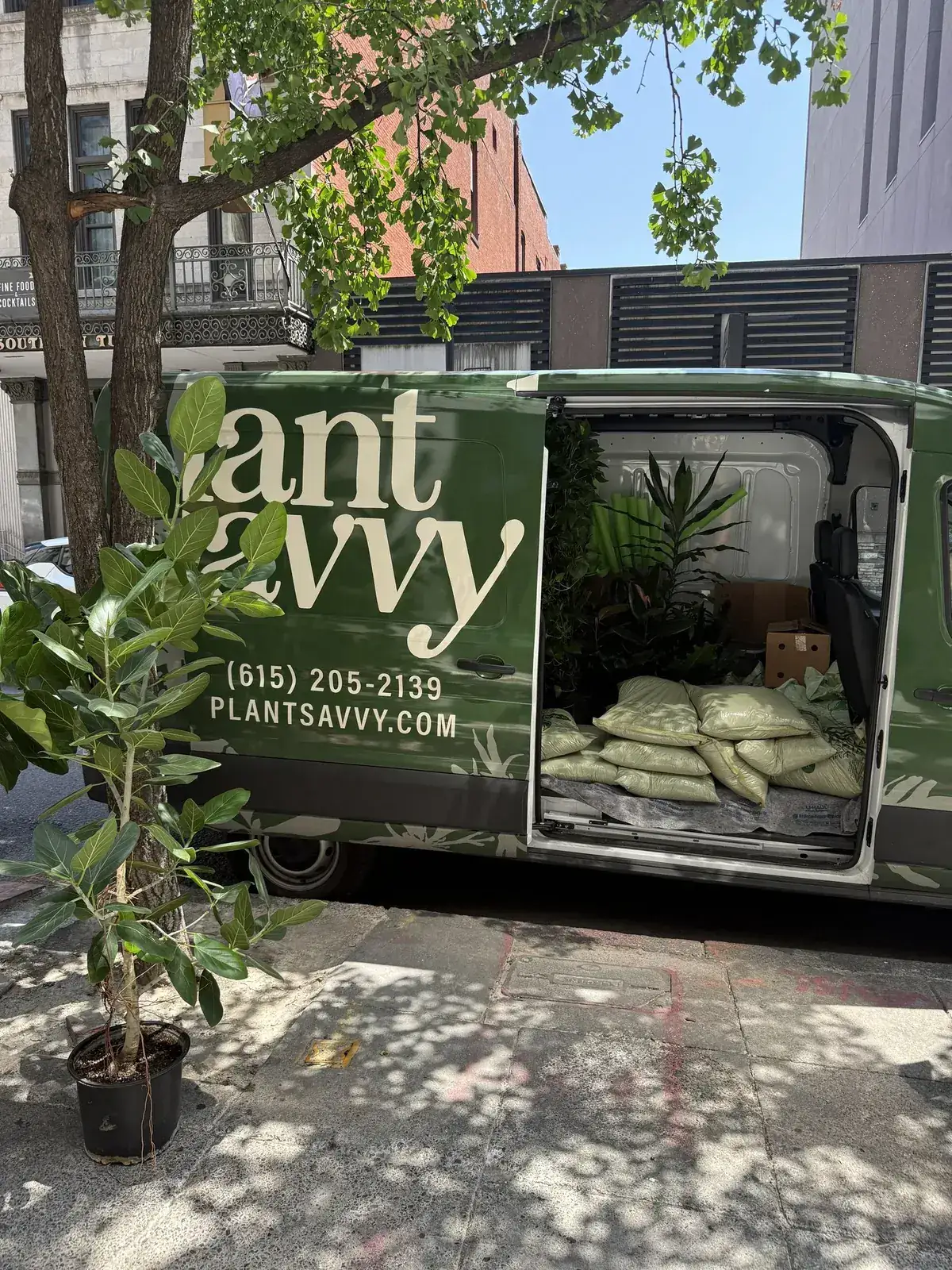 Interior of a plant shop with Plant Savvy staff working