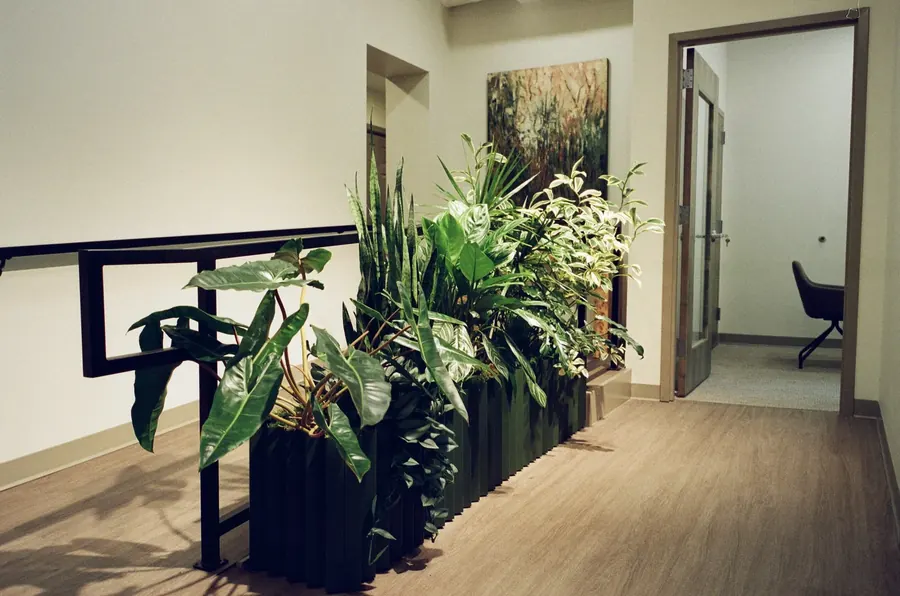 Interior plant design at HMC Civil Rights Law